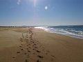 Plage de Tarnos- fin octobre